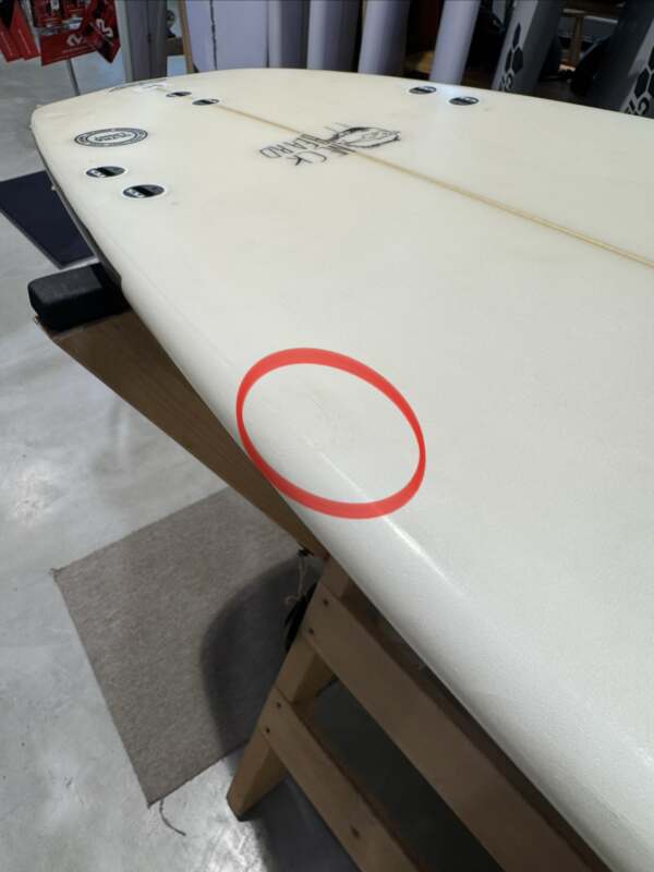 ChannelIslands】NeckBeard 5'6” | ムラサキスポーツの中古バリュー