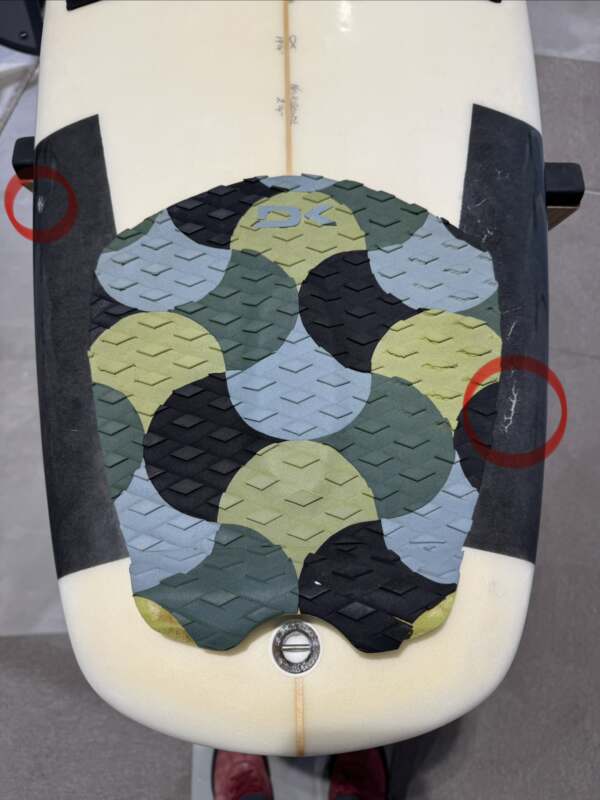 ChannelIslands】NeckBeard 5'6” | ムラサキスポーツの中古バリュー